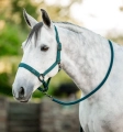 Kantar z uwiązem HORSEWARE dynasty green