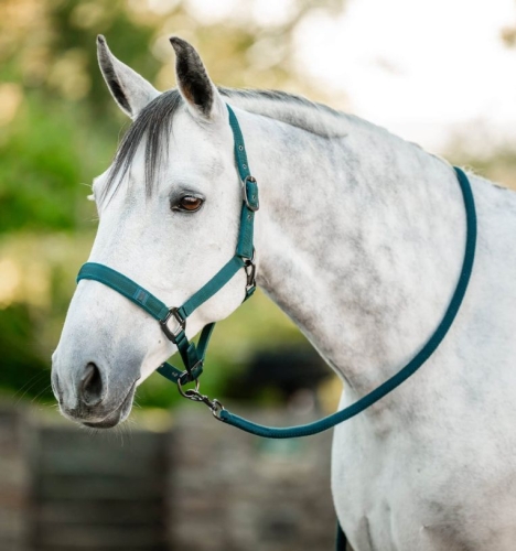 Kantar z uwiązem HORSEWARE dynasty green