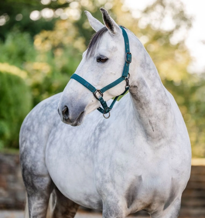 Kantar z uwiązem HORSEWARE dynasty green