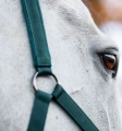 Kantar z uwiązem HORSEWARE dynasty green