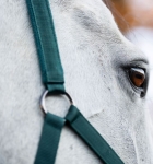 Kantar z uwiązem HORSEWARE dynasty green