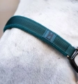 Kantar z uwiązem HORSEWARE dynasty green