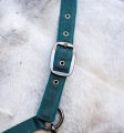 Kantar z uwiązem HORSEWARE dynasty green