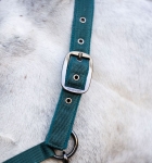 Kantar z uwiązem HORSEWARE dynasty green