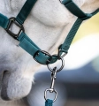 Kantar z uwiązem HORSEWARE dynasty green