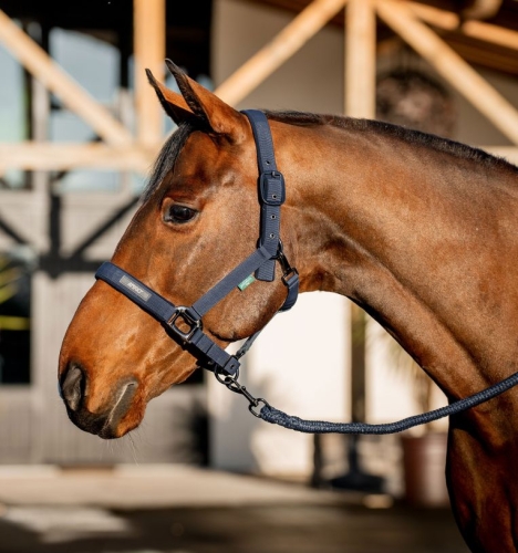 Kantar-z-uwiazem-HORSEWARE-AMIGO-navy-1