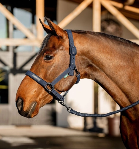 Kantar-z-uwiazem-HORSEWARE-AMIGO-navy-1