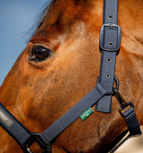 Kantar-z-uwiazem-HORSEWARE-AMIGO-navy-2