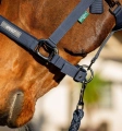 Kantar-z-uwiazem-HORSEWARE-AMIGO-navy-3