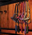 Kantar-z-uwiazem-HORSEWARE-AMIGO-navy-7