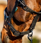 Kantar-z-uwiazem-HORSEWARE-AMIGO-black-4