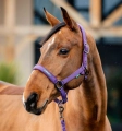 Kantar-z-uwiazem-HORSEWARE-AMIGO-winterberry-3