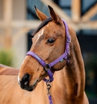 Kantar-z-uwiazem-HORSEWARE-AMIGO-winterberry-3