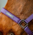 Kantar-z-uwiazem-HORSEWARE-AMIGO-winterberry-4