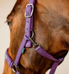 Kantar-z-uwiazem-HORSEWARE-AMIGO-winterberry-5