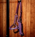 Kantar-z-uwiazem-HORSEWARE-AMIGO-winterberry-6
