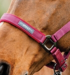 Kantar-z-uwiazem-HORSEWARE-AMIGO-mulberry-2