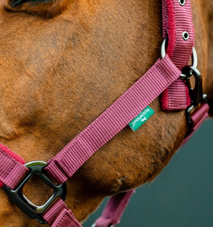 Kantar-z-uwiazem-HORSEWARE-AMIGO-mulberry-3