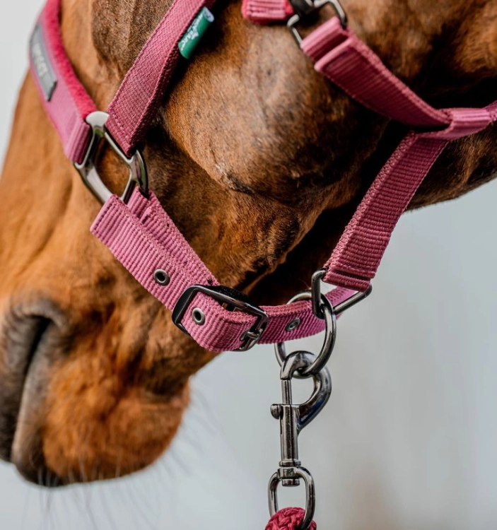 Kantar-z-uwiazem-HORSEWARE-AMIGO-mulberry-4