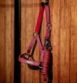 Kantar-z-uwiazem-HORSEWARE-AMIGO-mulberry-5