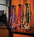 Kantar-z-uwiazem-HORSEWARE-AMIGO-mulberry-6