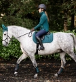Czaprak-HORSEWARE-Close-Contact-dynasty-green-04