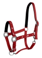 201030004PON_20103_0004_ACTIVE_HORSES.jpg