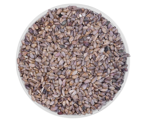 ostropest-plamisty-equiherbs-1.jpg