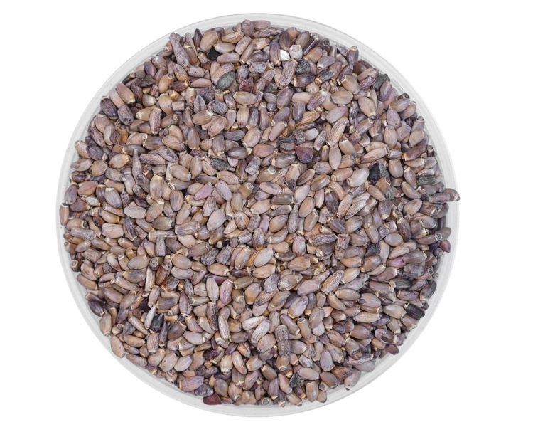 ostropest-plamisty-equiherbs-1.jpg