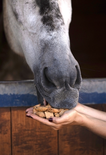 Kopytka-Candy-Horse-Truskawka-i-Papaja-12l