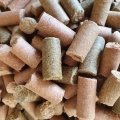lecker-bricks-bunter-eimer-przysmaki-2.webp