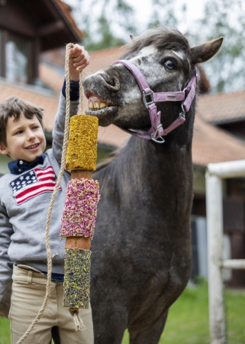 Gryzak-ziolowy-CANDY-HORSE-Stable-Party-24h-02