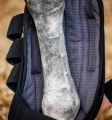 Ochraniacze-stajenne-HORSEWARE-Pro-Bamboo-Stable-Boots-04