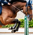 Ochraniacze-skokowe-przednie-HORSEWARE-Classic-Tendon-Boots-06