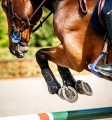Ochraniacze-skokowe-przednie-HORSEWARE-Classic-Tendon-Boots-07