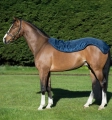 Derka-letnia-padokowa-HORSEWARE-Rambo-Summer-Series-0g-05