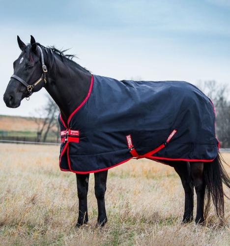 Derka-padokowa-HORSEWARE-RAMBO-Medium-1000D-200g-02