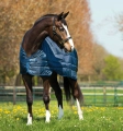Derka-padokowa-z-kapturem-HORSEWARE-RAMBO-Duo-1000D-100g-06