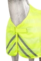 24985_150_02.webp