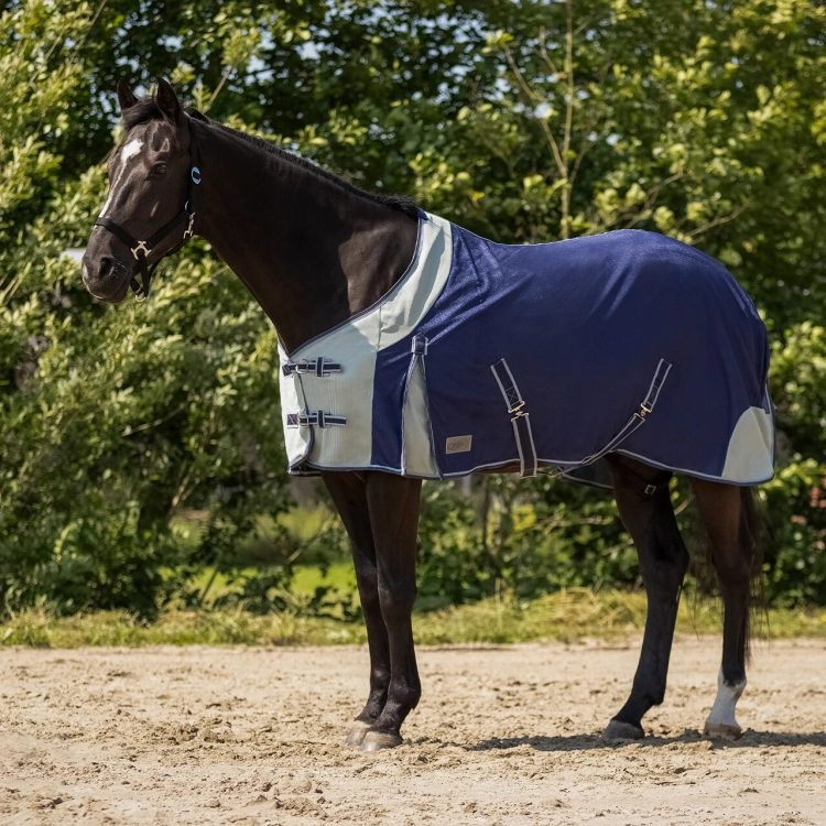 Derka-siatkowa-QHP-Fly-rug-blue-01