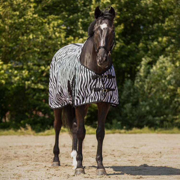 Derka siatkowa QHP Fly rug zebra