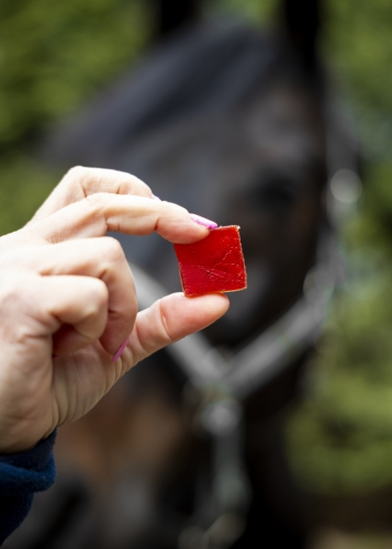 zelki-owocowe-CANDY-HORSE-Fruit-Jellies-wisnia-kardamon-02