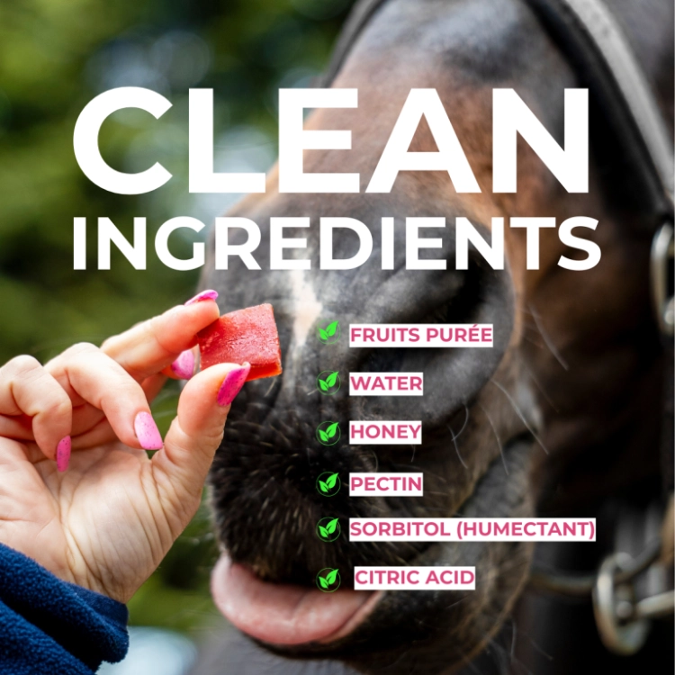 zelki-owocowe-CANDY-HORSE-Fruit-Jellies-wisnia-kardamon-03