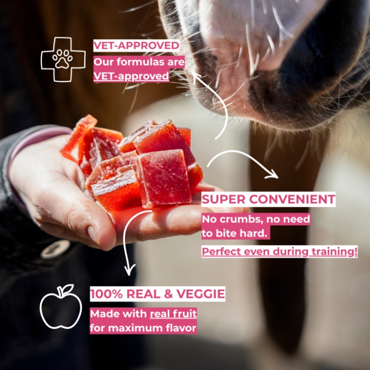 zelki-owocowe-CANDY-HORSE-Fruit-Jellies-wisnia-kardamon-04