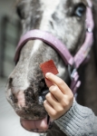 zelki-owocowe-CANDY-HORSE-Fruit-Jellies-wisnia-kardamon-06