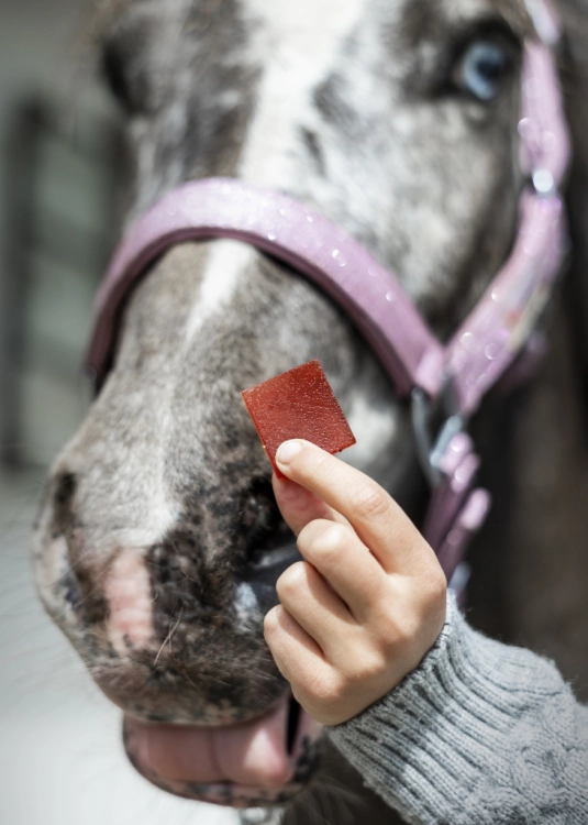 zelki-owocowe-CANDY-HORSE-Fruit-Jellies-wisnia-kardamon-06