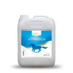 Elektrolity HorseLinePRO "HydroFocus Electrolyte" 5 litrów