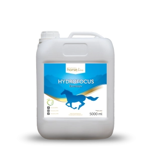 Elektrolity HorseLinePRO "HydroFocus Electrolyte" 5 litrów