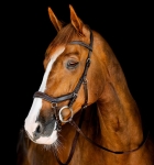 Ogłowie-anatomiczne-HORSEWARE-MICKLEM-Competition-dark-havana-01