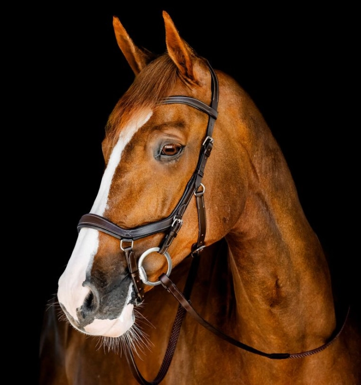 Ogłowie-anatomiczne-HORSEWARE-MICKLEM-Competition-dark-havana-01